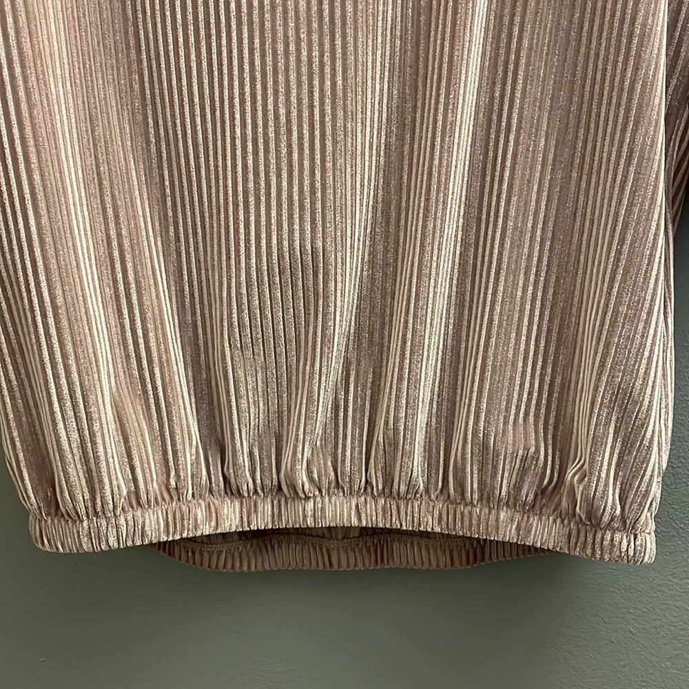 Blush Ribbed Velvet Top - Picture 3 of 8